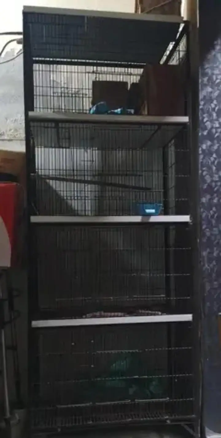 new Bird cage for breeding — photo 2