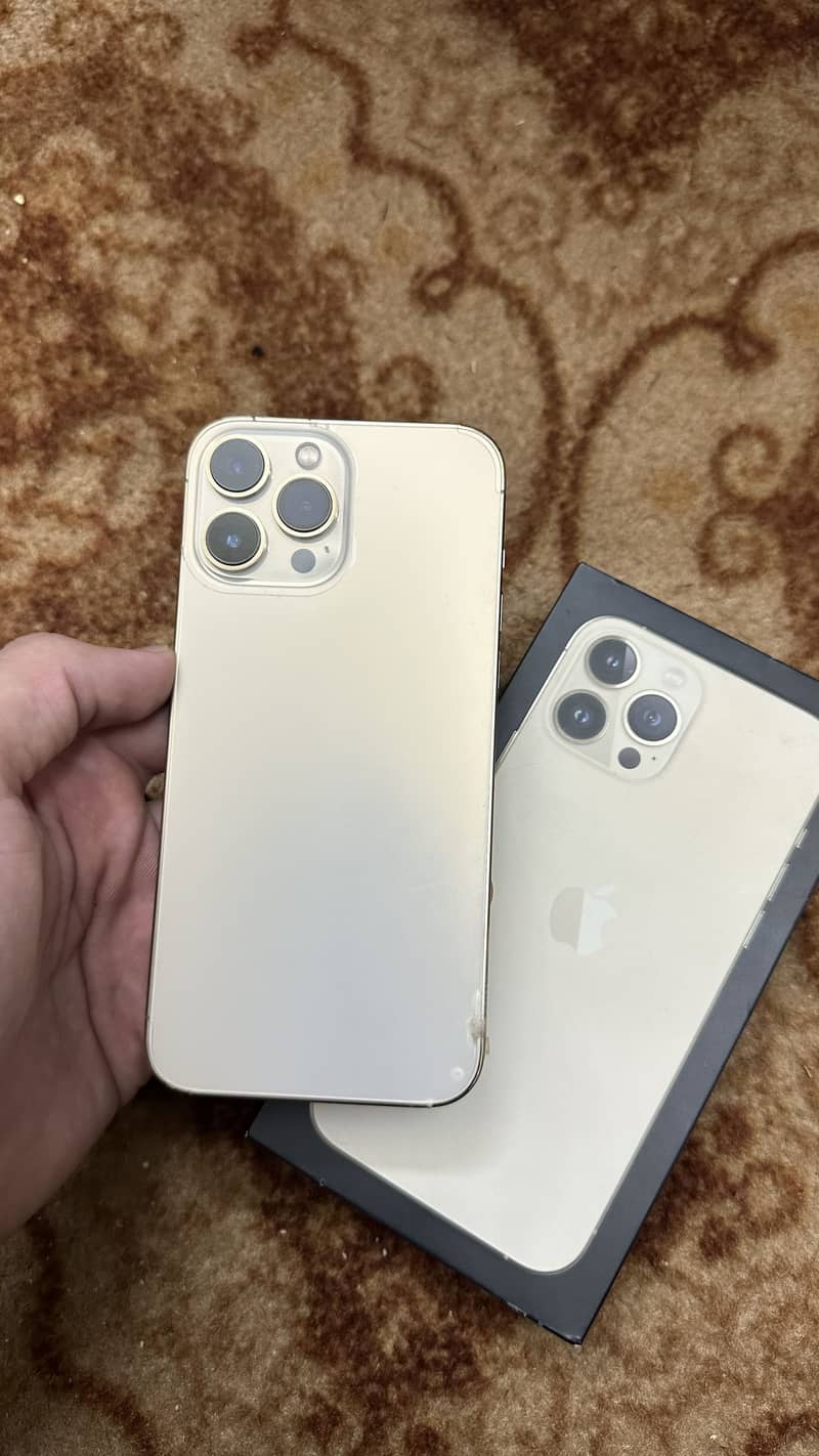 Apple iPhone 13 Pro Max 1