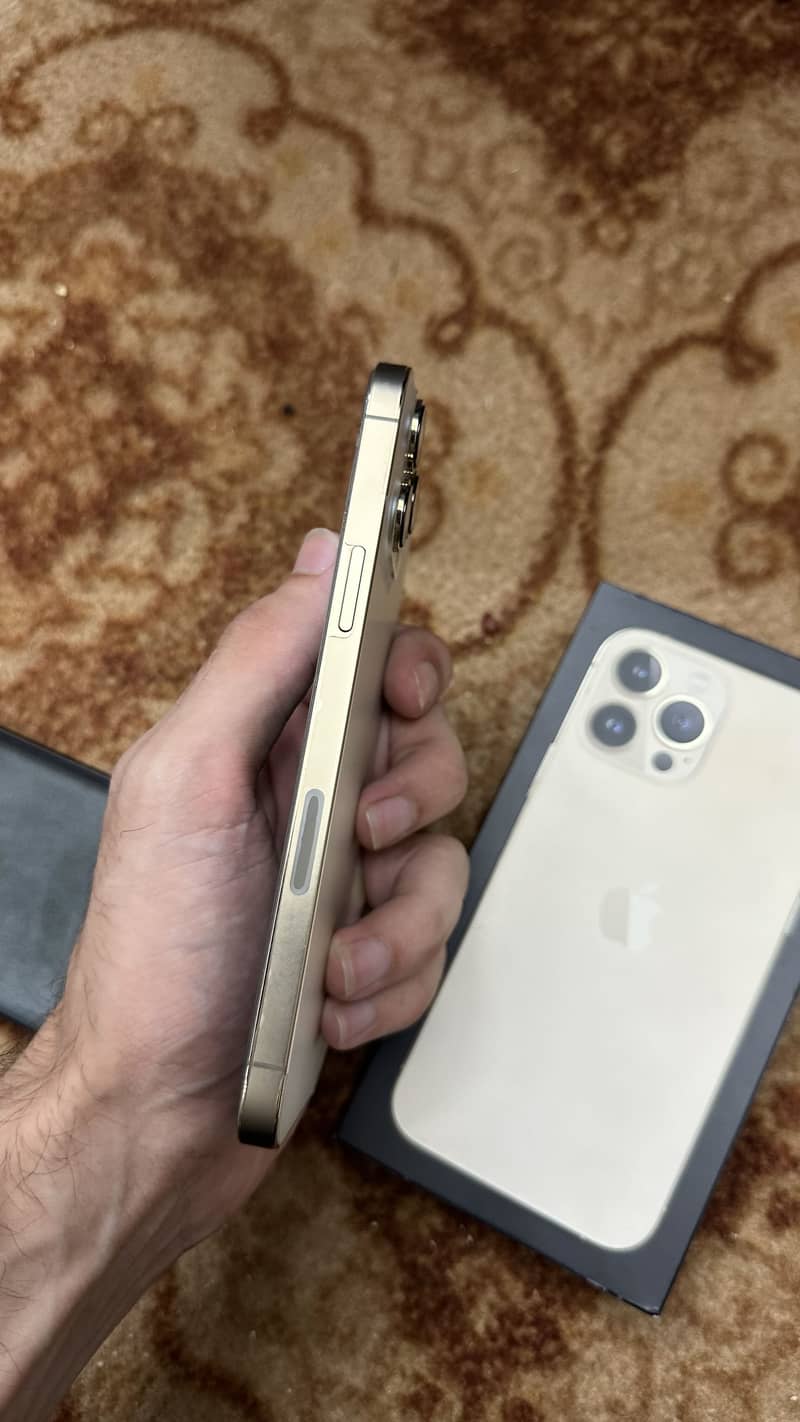 Apple iPhone 13 Pro Max 2