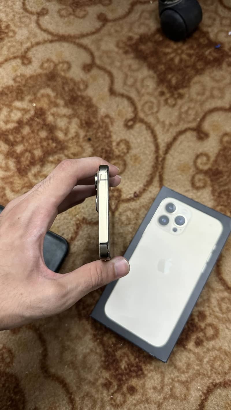 Apple iPhone 13 Pro Max 3