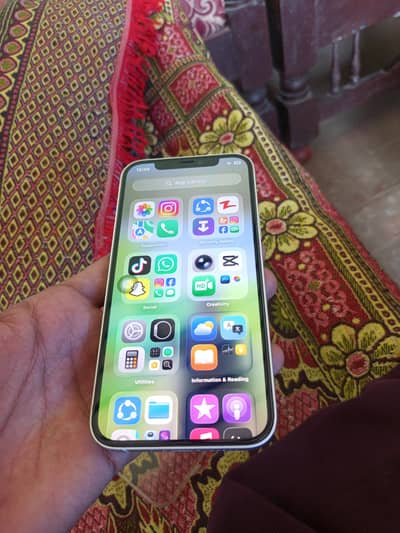 Apple iPhone 12 MDM