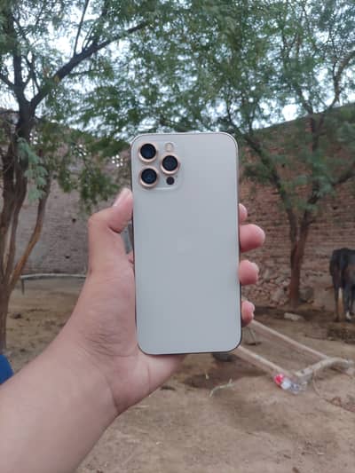 Apple iPhone 12 Pro Max