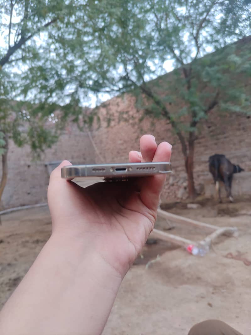 Apple iPhone 12 Pro Max 1