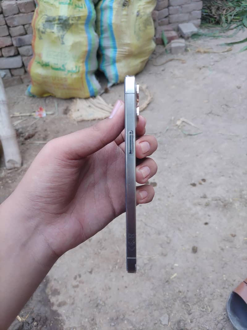 Apple iPhone 12 Pro Max 3