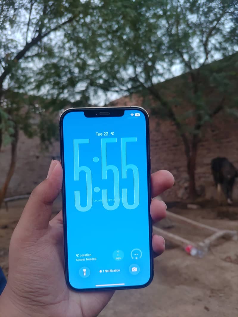 Apple iPhone 12 Pro Max 4