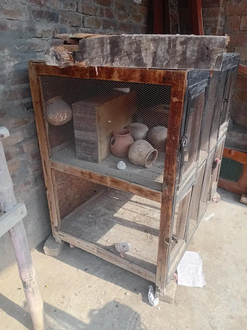 cage for sale