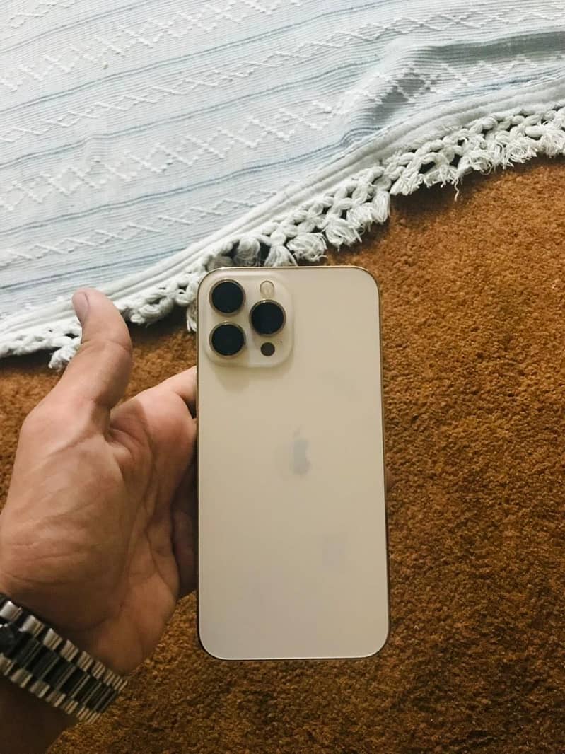 Apple iPhone 13 Pro Max 0