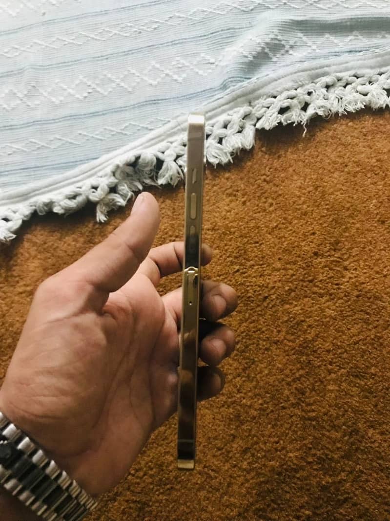 Apple iPhone 13 Pro Max 1