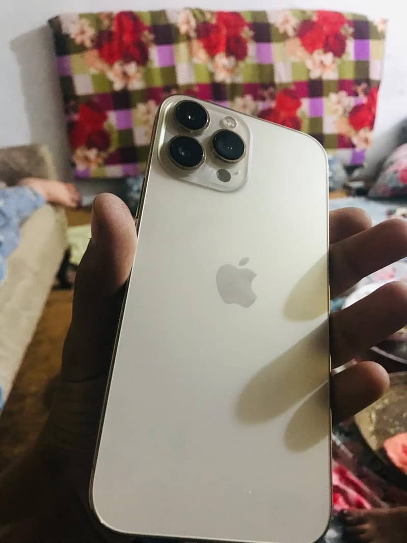 Apple iPhone 13 Pro Max 3
