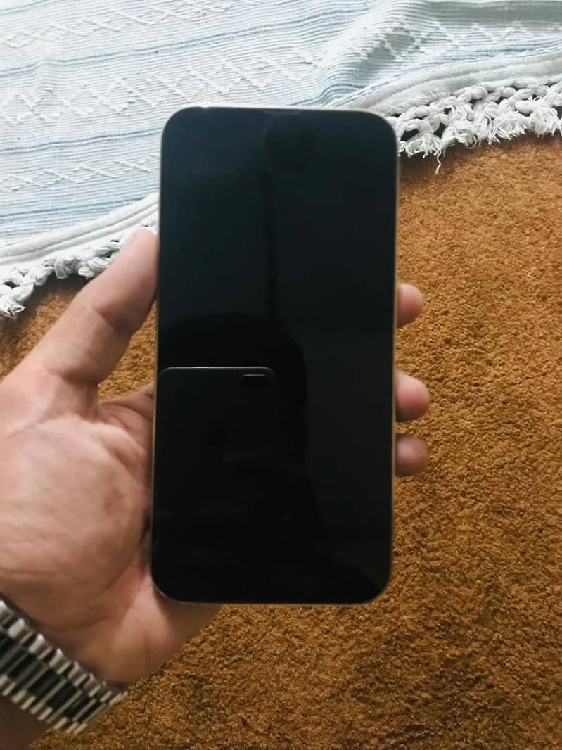 Apple iPhone 13 Pro Max 5