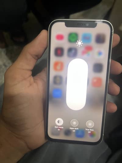 Apple iPhone 12 Pro