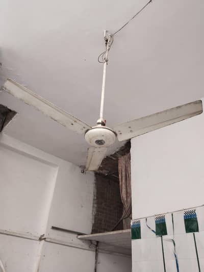 pure copper winding ceiling fan