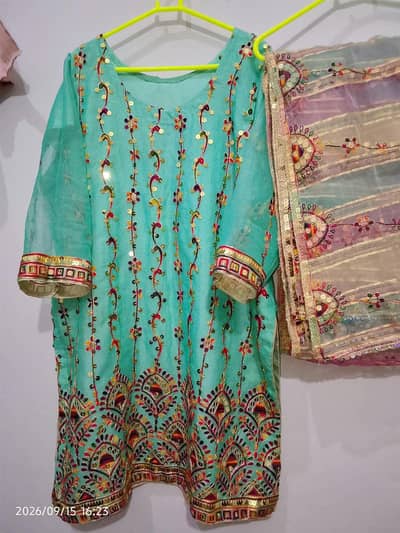 Party wear dress embroidery