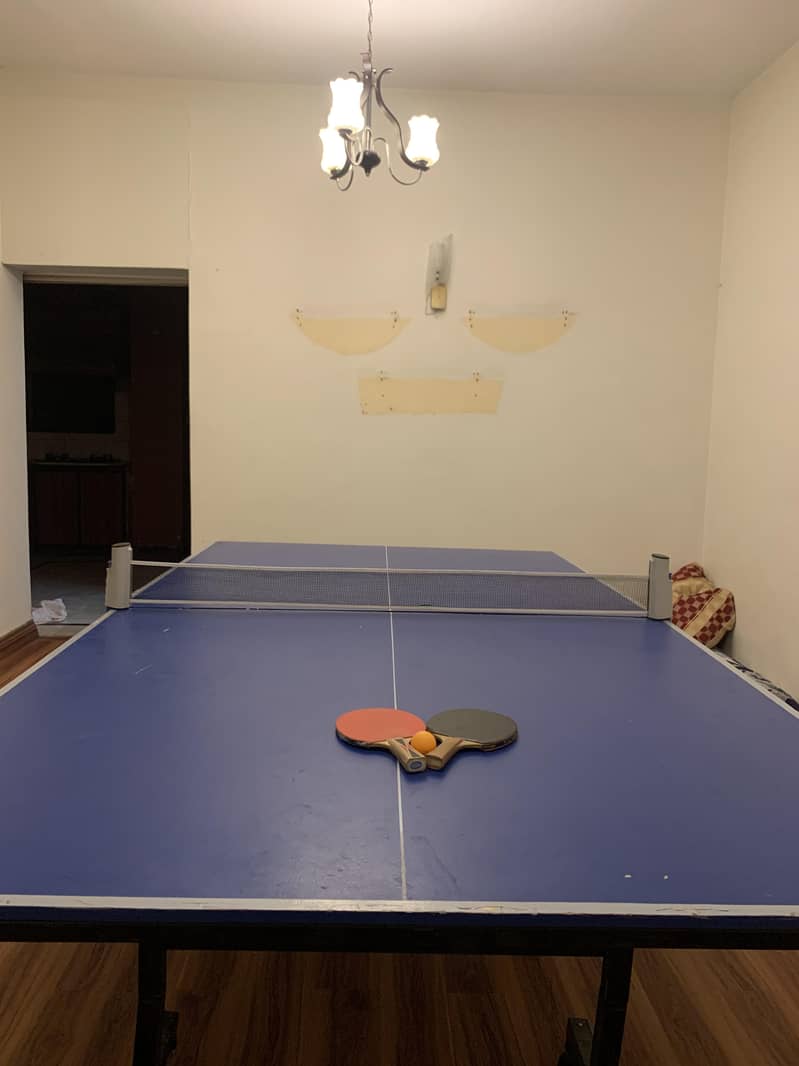 Foldable Table Tennis Table 1