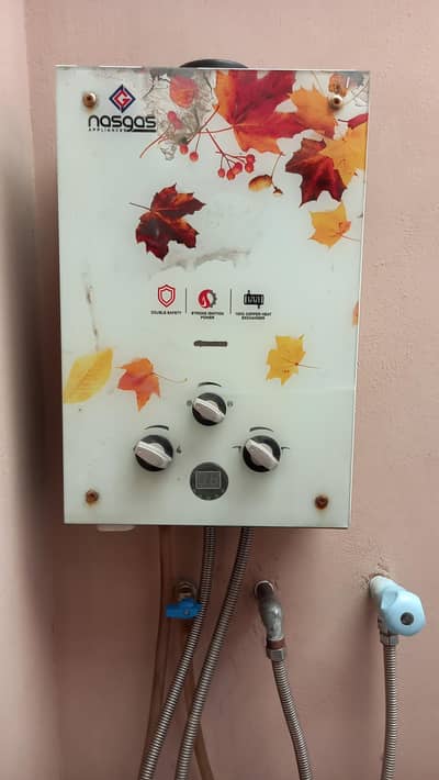 1 leater  . . gas geyser