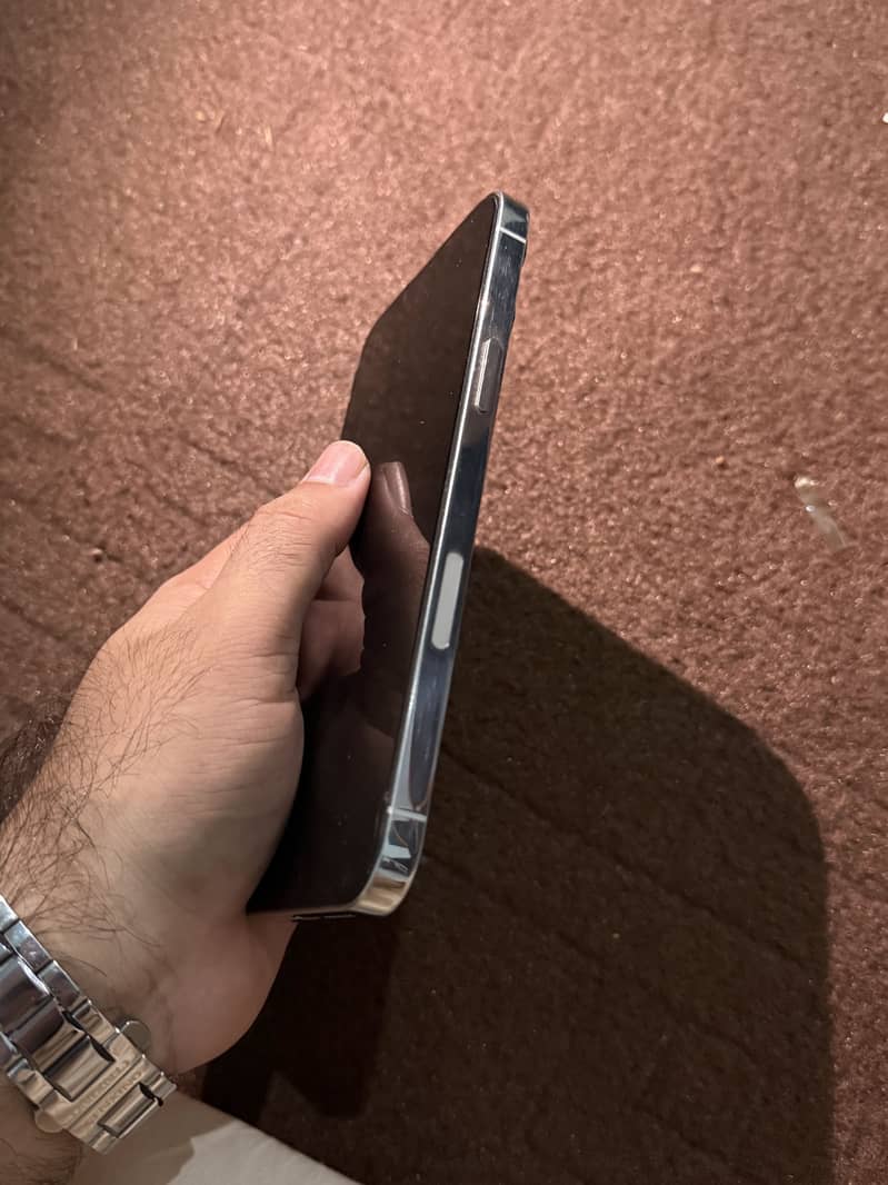 Apple iPhone 13 Pro Max 1