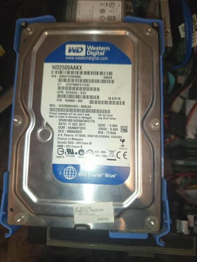 Western Digital Caviar Blue 250GB internal hard drive