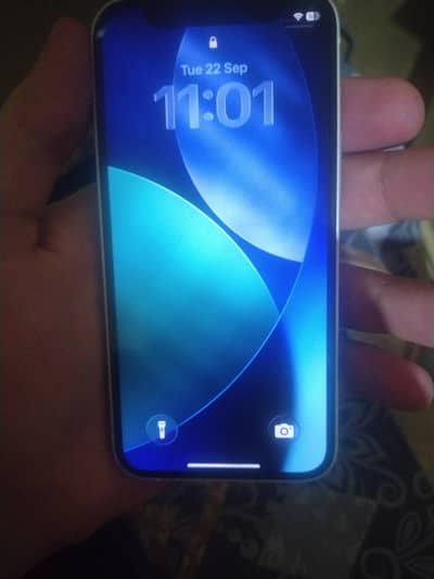 Apple iPhone 12 mini