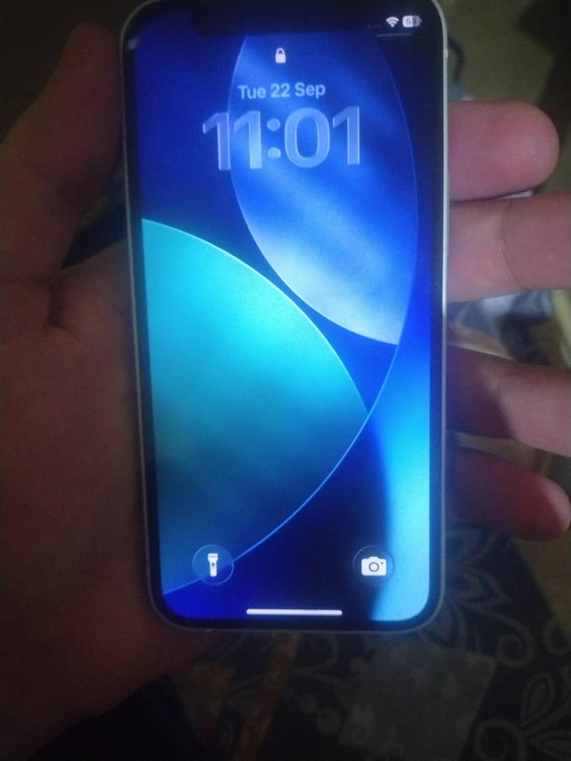 Apple iPhone 12 mini 0