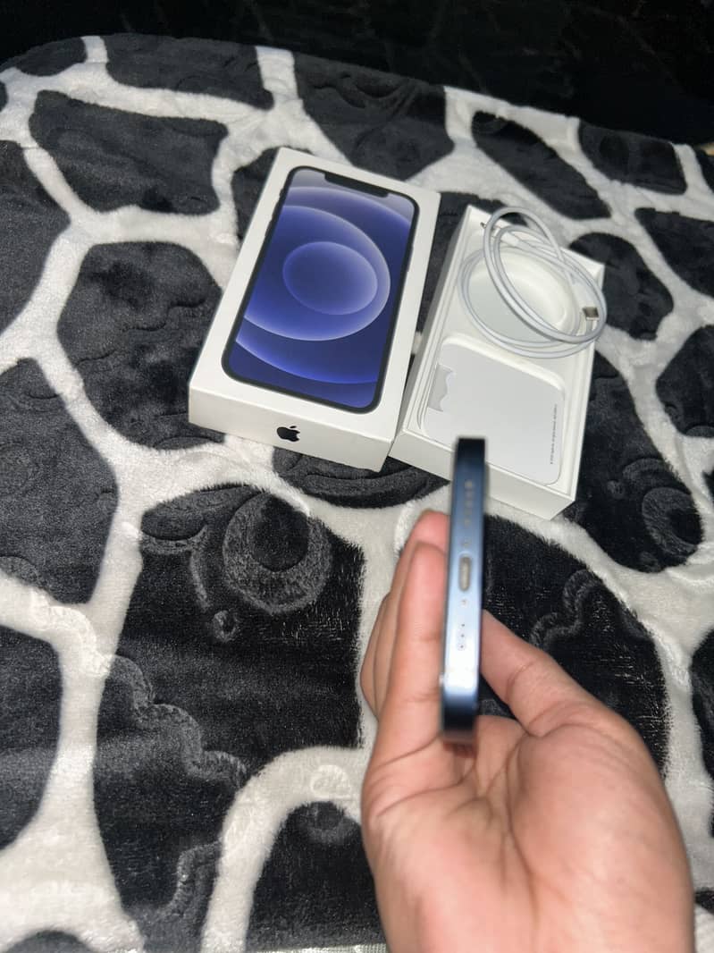Apple iPhone 12 1