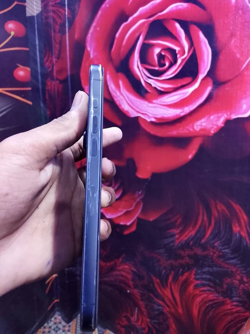 Apple iPhone 15 Pro Max 3