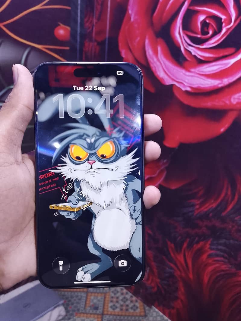 Apple iPhone 15 Pro Max 5