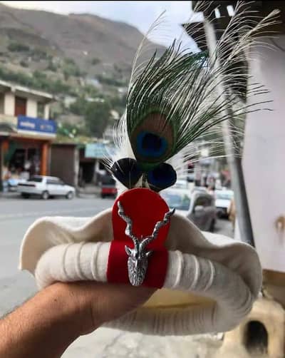 Chitra traditional cap
