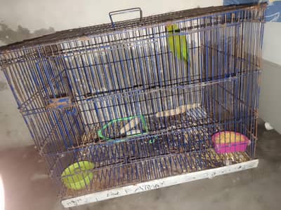 pinjra is for sale only use one month