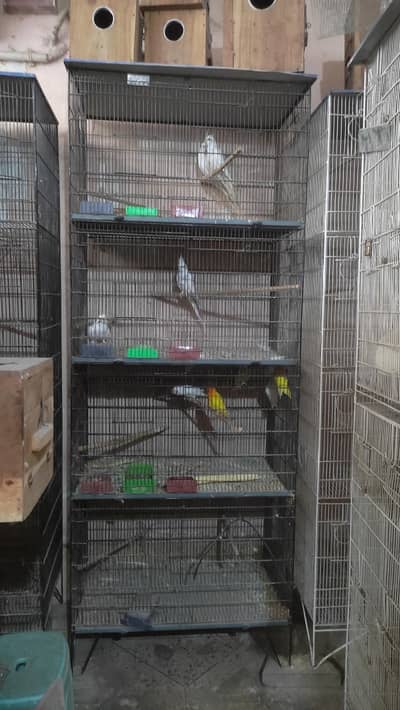 Cages / Boxes