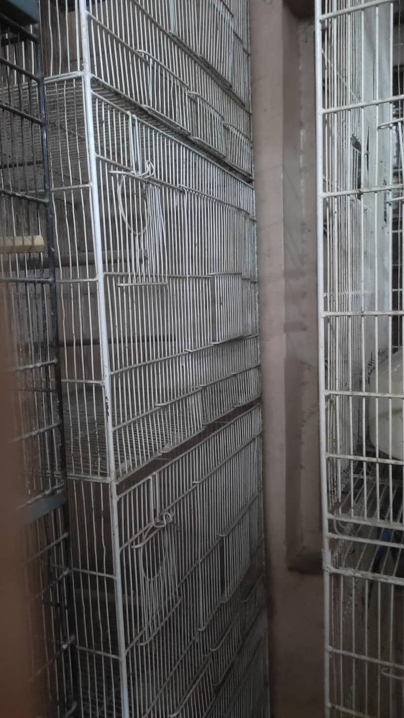 Cages / Boxes 2