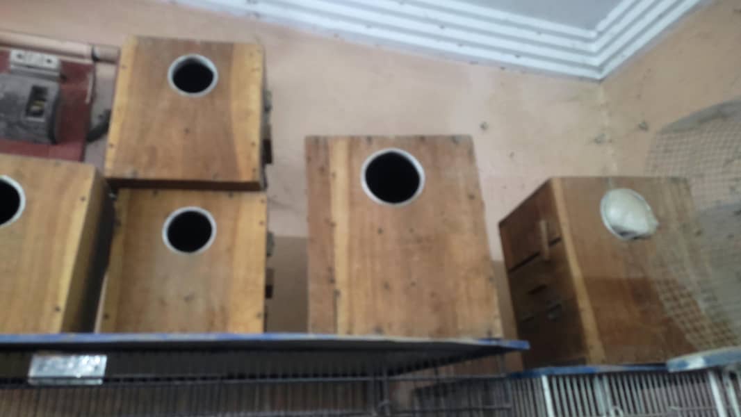 Cages / Boxes 4