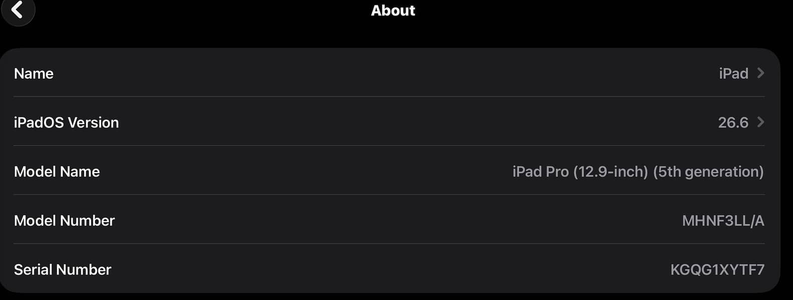 iPad Pro M1 12.9inch 5