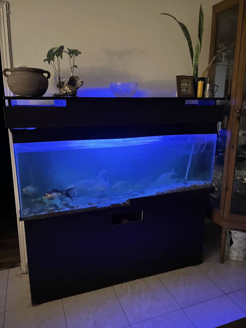 4 Ft Aquarium 1
