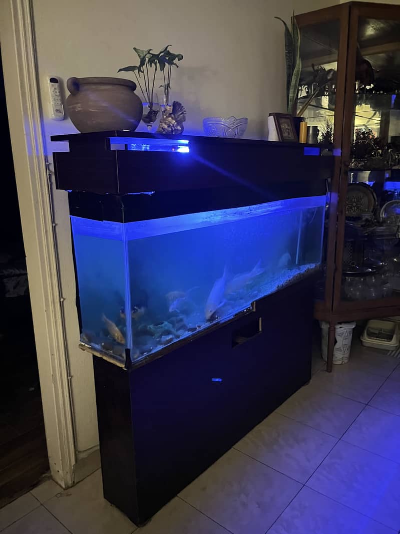 4 Ft Aquarium 2