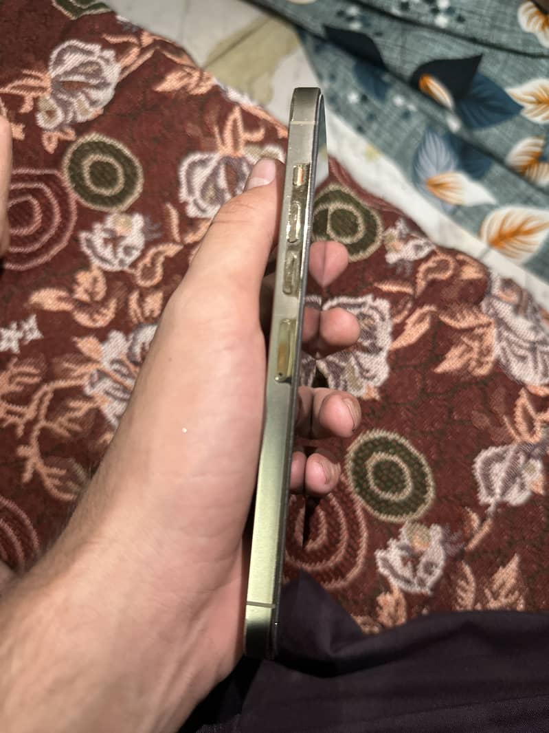 Apple iPhone 13 Pro Max 1