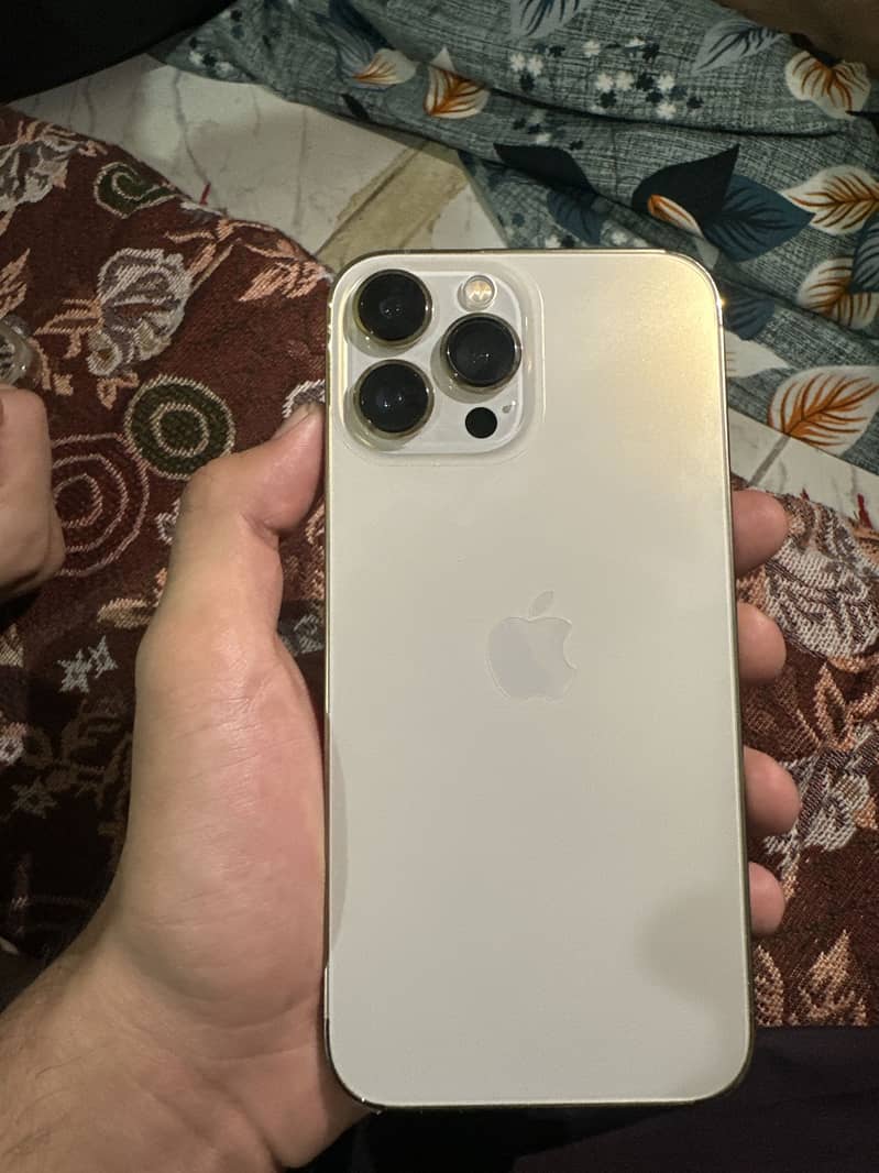 Apple iPhone 13 Pro Max 2