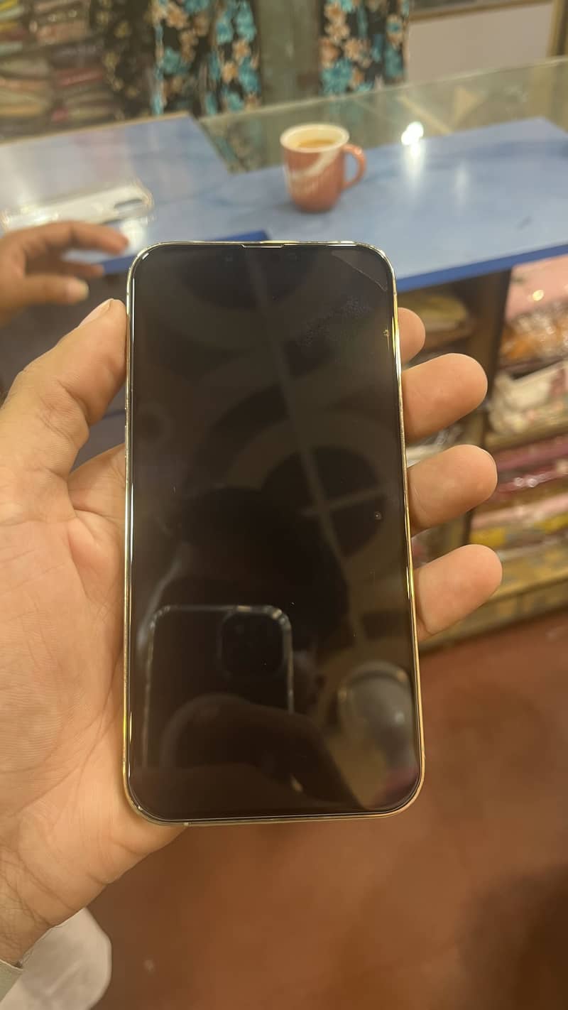 Apple iPhone 13 Pro Max 1