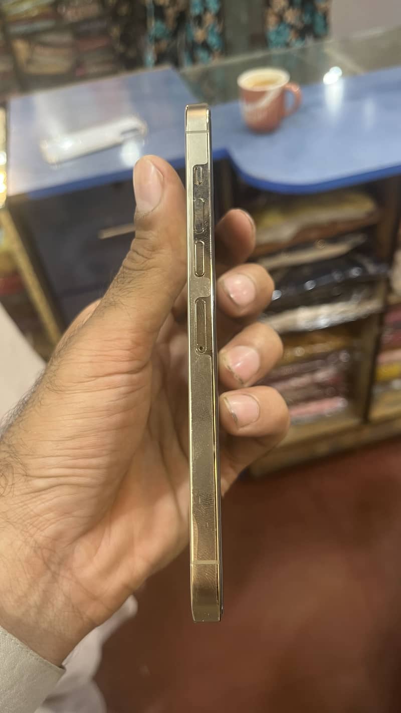 Apple iPhone 13 Pro Max 3
