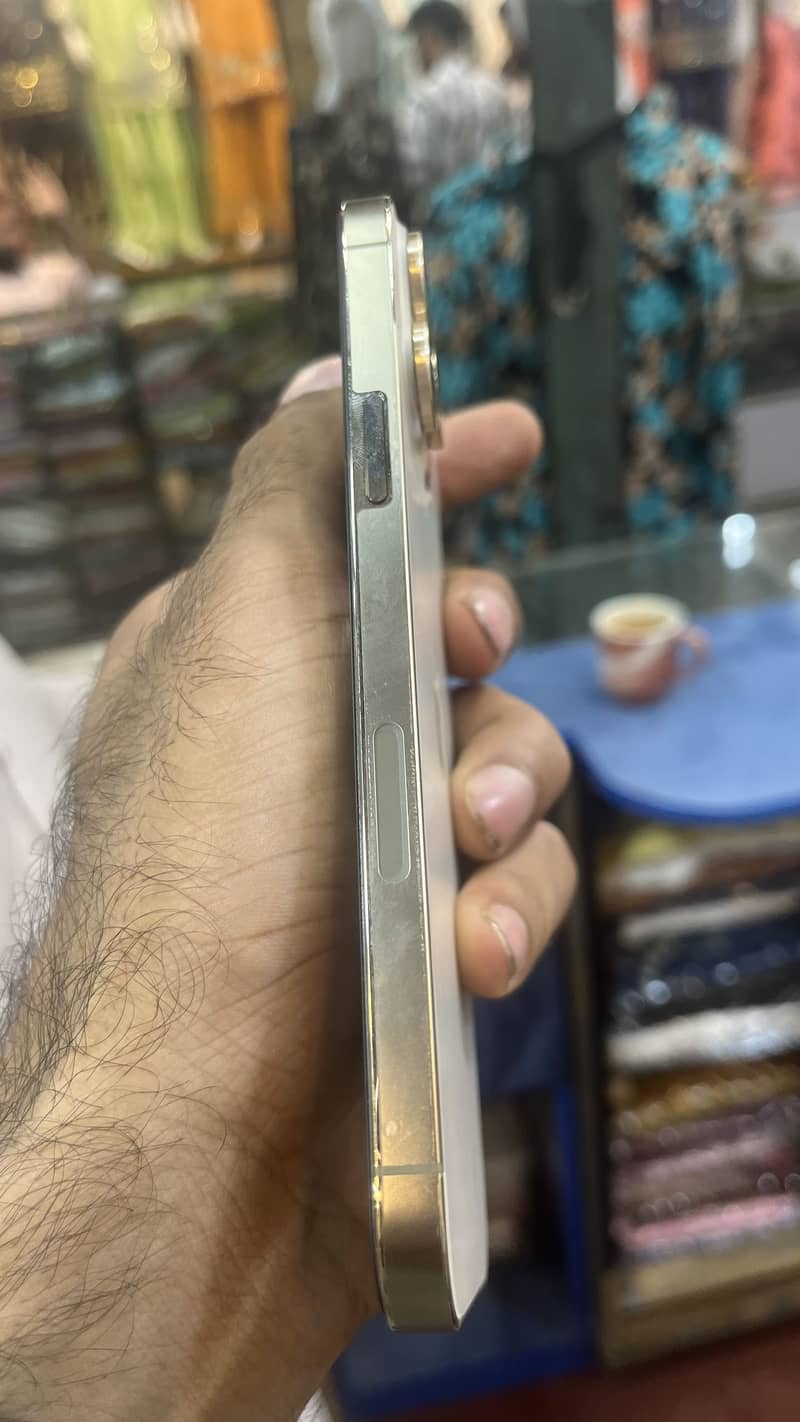 Apple iPhone 13 Pro Max 4