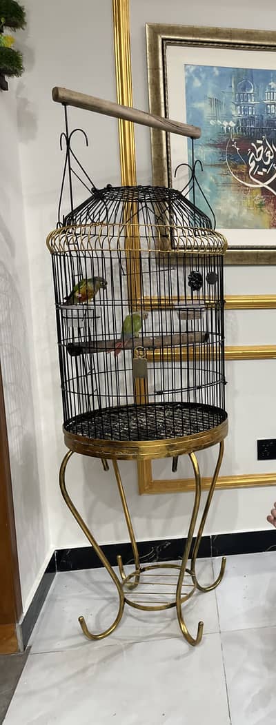 Cage for big birds