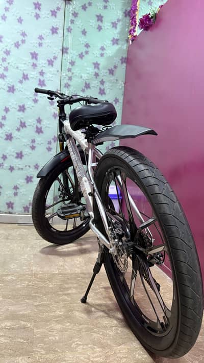 Superway fat tyre bicycle