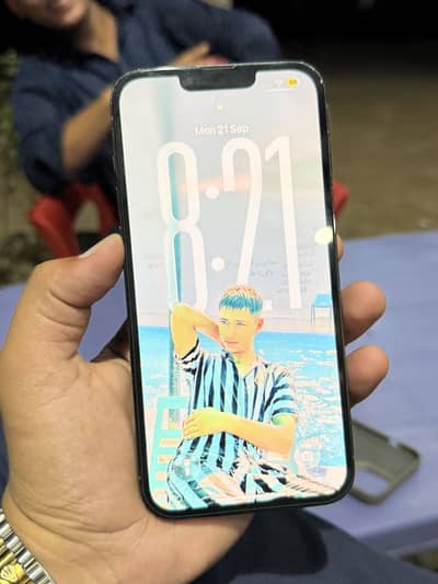 Apple iPhone 13 Pro Max