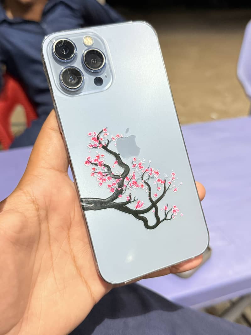 Apple iPhone 13 Pro Max 1