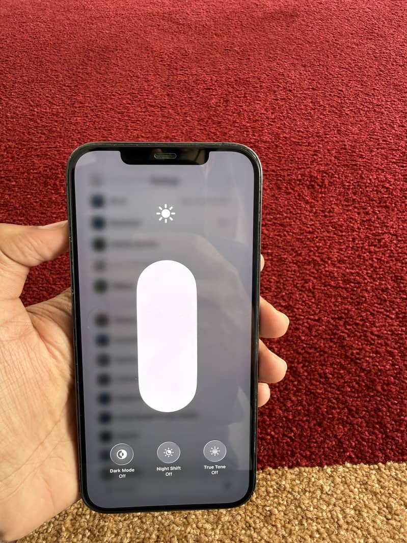Apple iPhone 12 Pro Max 10