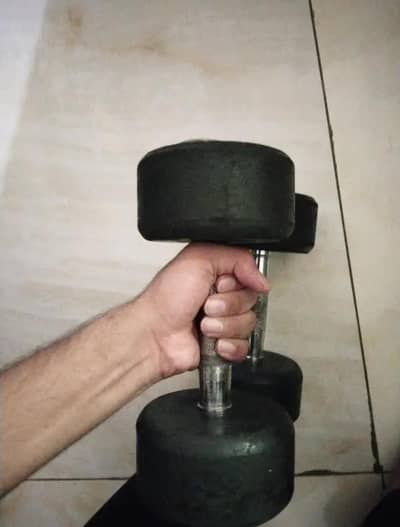 5 kg dumbbell pair