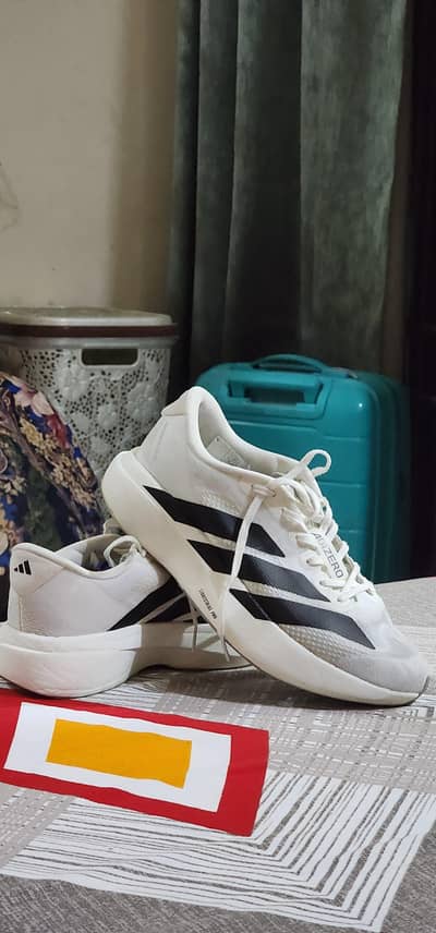 adidas evo sL 42 size
