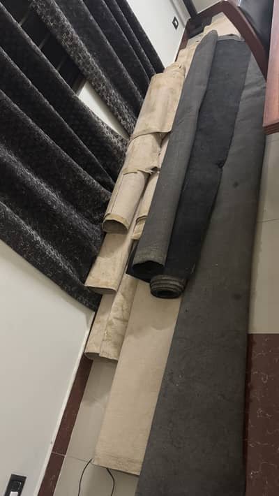 Carpets and Rugs