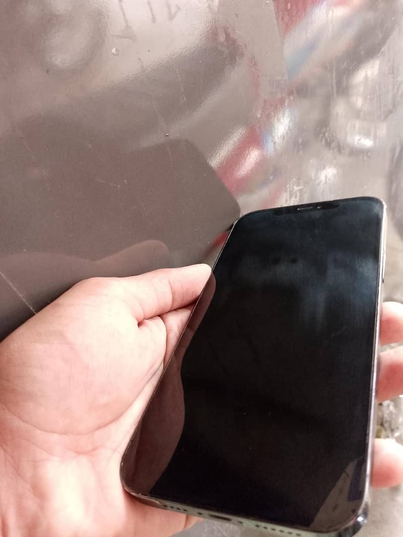 Apple iPhone 12 Pro Max 1