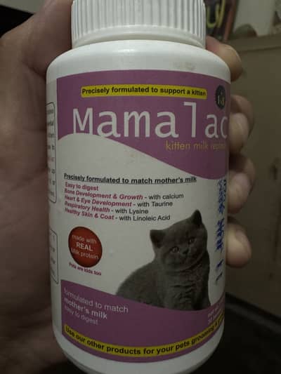Kitten milk replacer