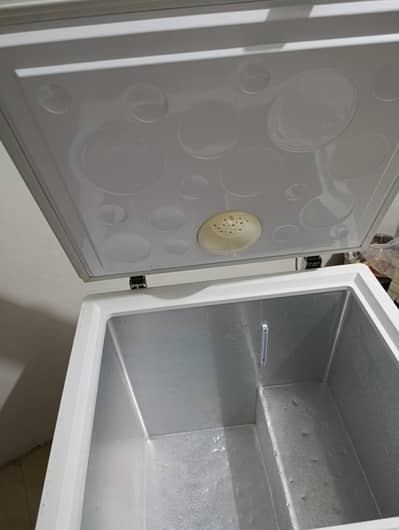 neat and clean freezer 9/10